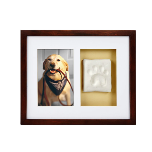 Pawprints wall frame