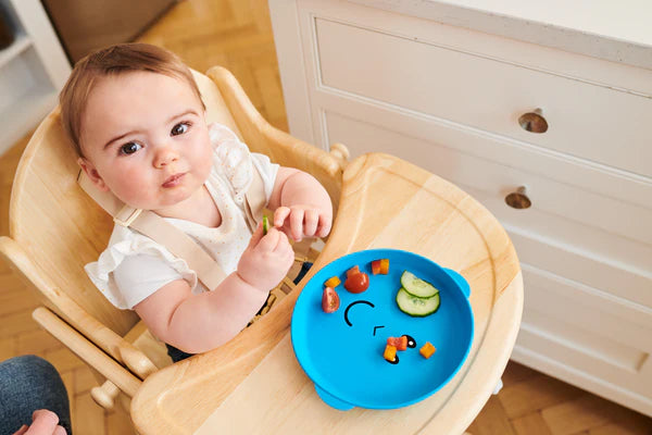 Blue Monkey Plate & Bowl