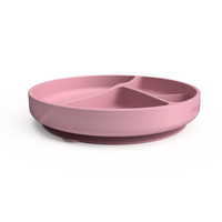Silicone Suction Plate