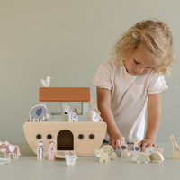 Noah's Ark