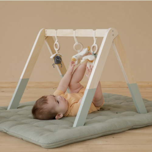 Baby gym - Little Goose - LD