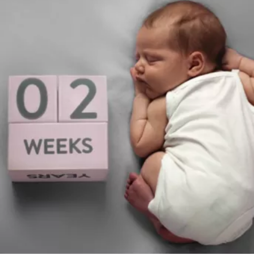 Age blocks best sale for baby pictures