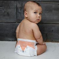 Eco Nappies, Size 4 Tiger & Fox 9-14kg
