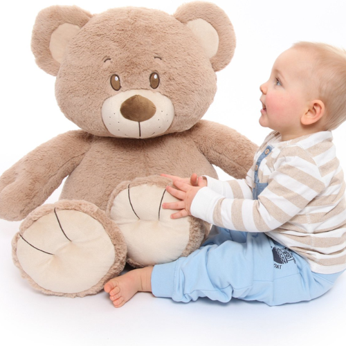 Cuddle bear 50 cm