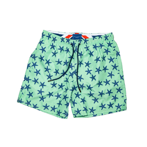 Mint Bold Starfish
