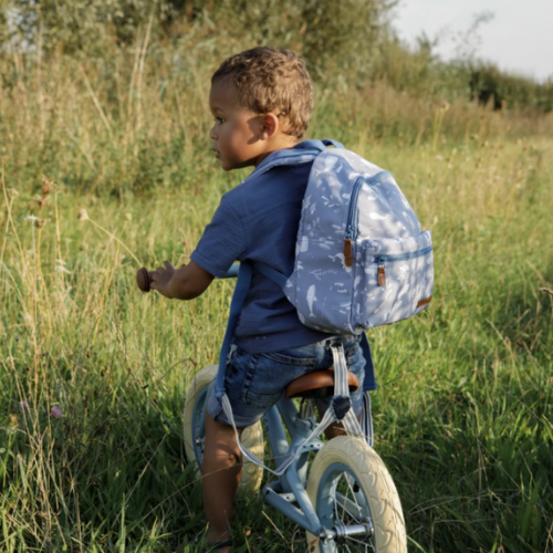 Balance bike - Matt Blue