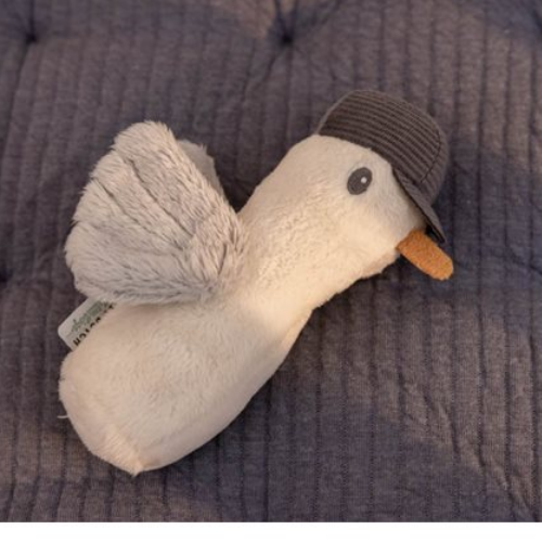 Squeaker Seagull