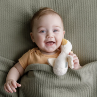 Squeaker Little Goose