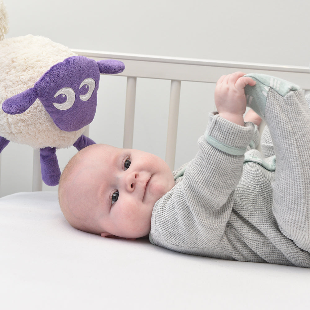 Ewan the dream sheep (Classic) - Baby sleep soother