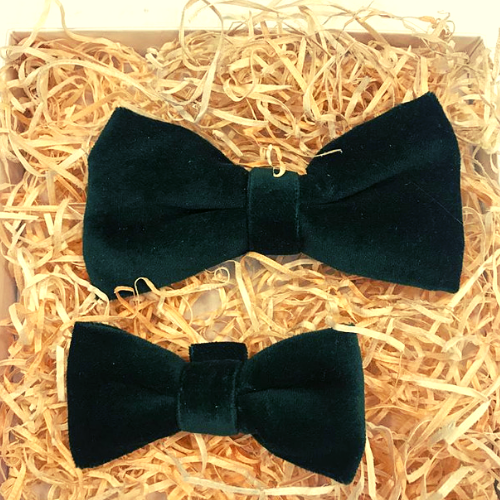 Dad & Me Bow Tie - Luxe velvet BT25