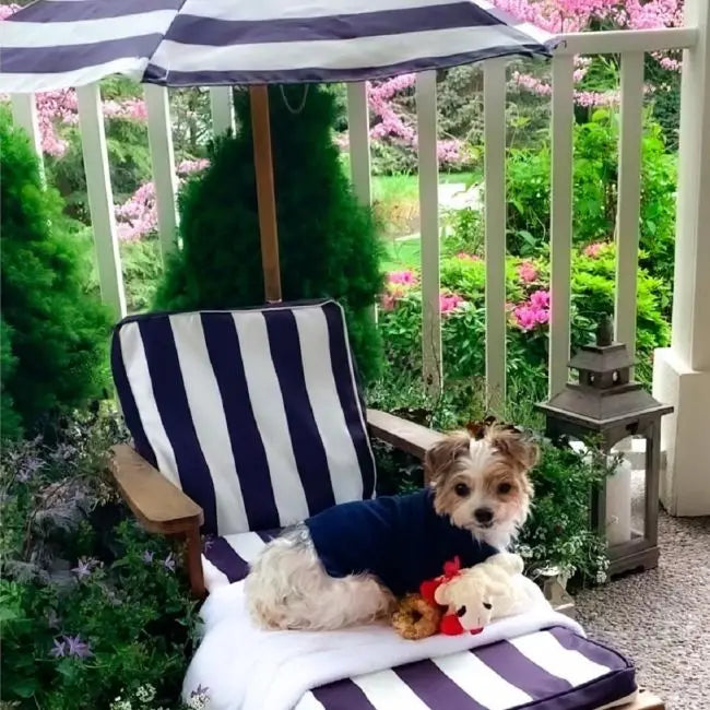 Outdoor Chaise with Umbrella - Navy 105